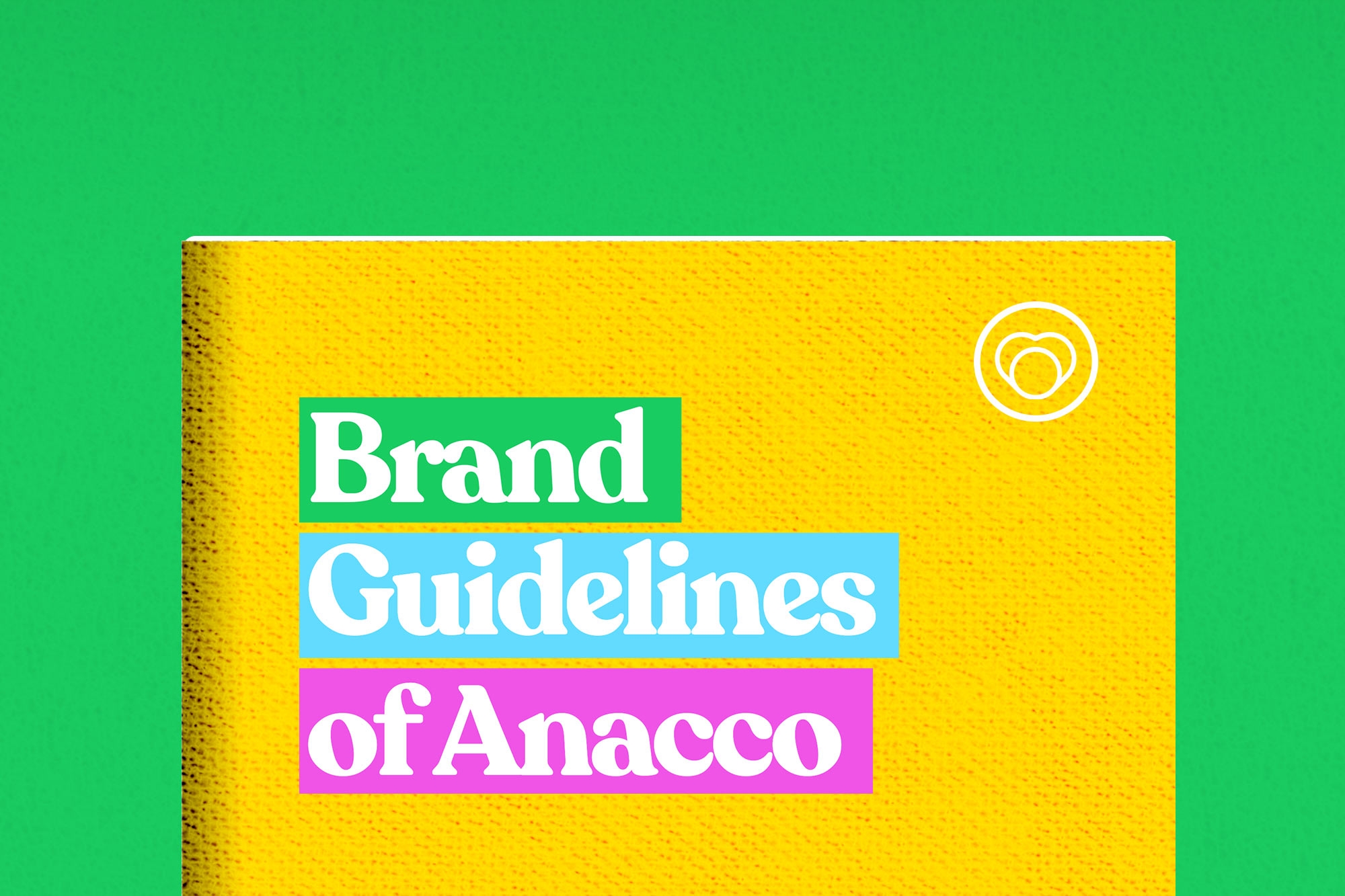 30 brand guidelines of anacco tribox design